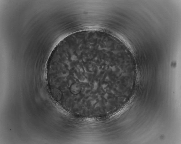 X0000100200883200805301307