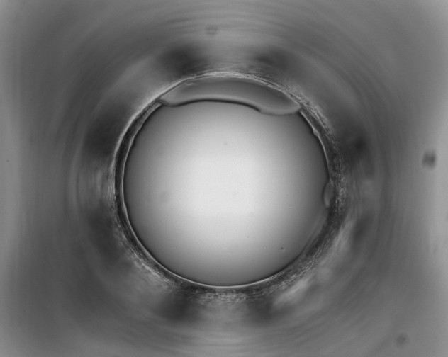 X0000100200884200805301307