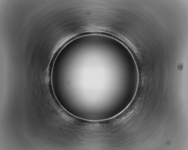 X0000100200885200805301307