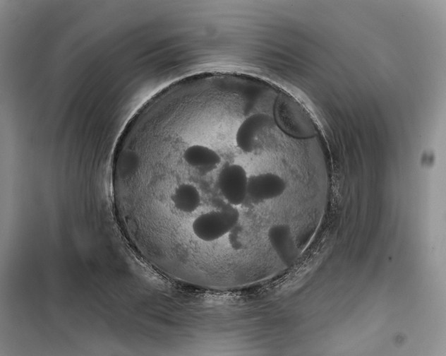 X0000100200887200805301307