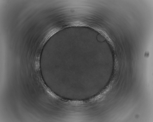 X0000100200889200805301307