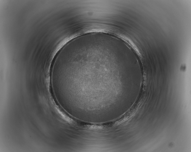 X0000100200890200805301307