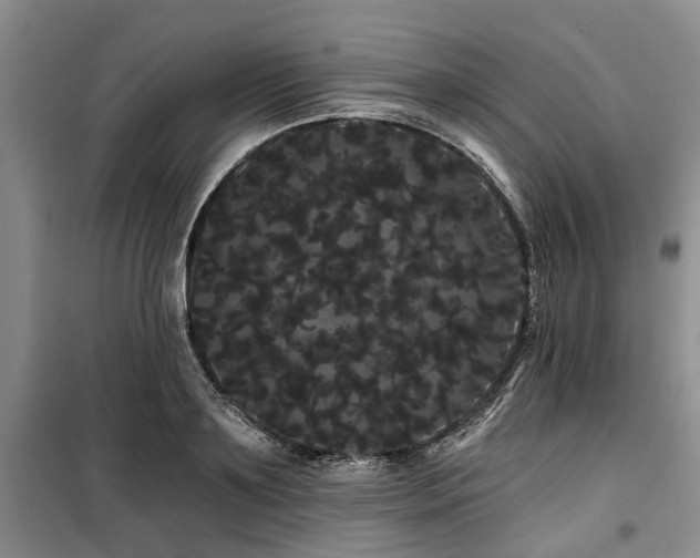 X0000100200891200805301307