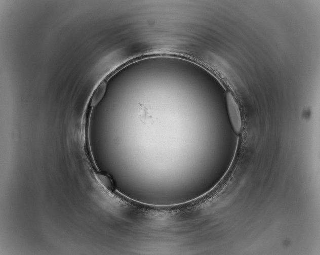 X0000100200892200805301307