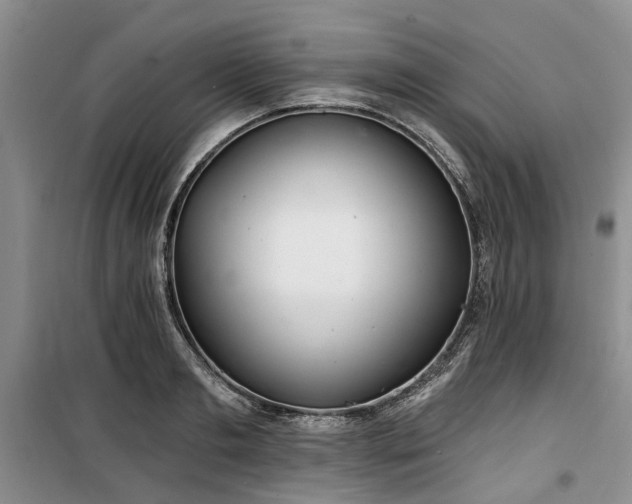 X0000100200893200805301307