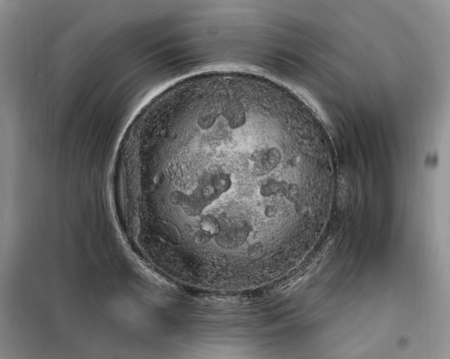 X0000100200895200805301307