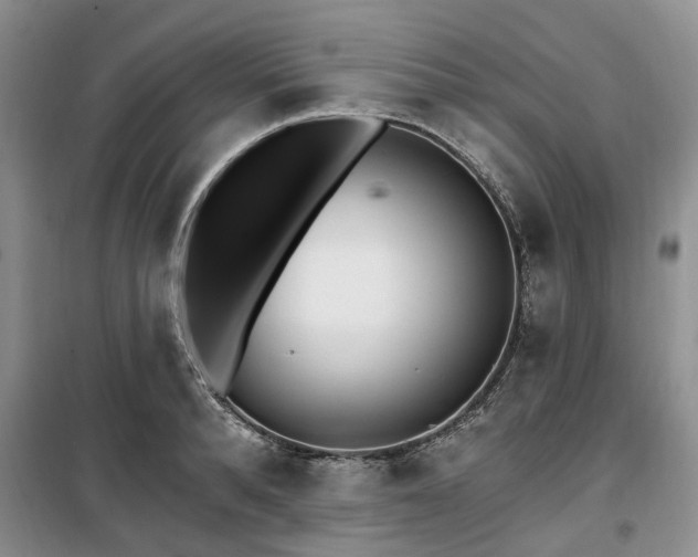 X0000100200896200805301307