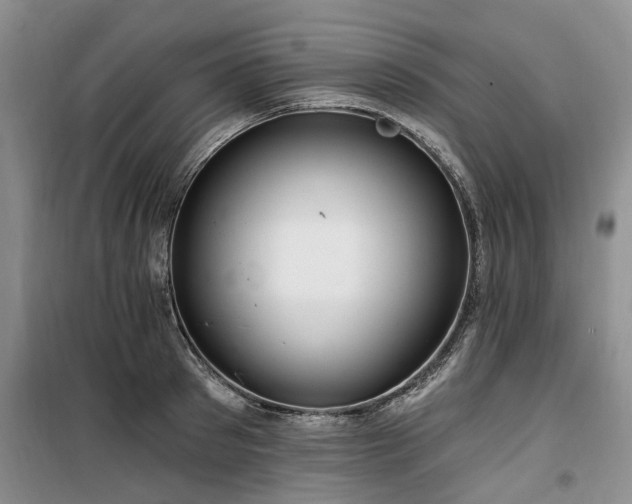 X0000100200897200805301307