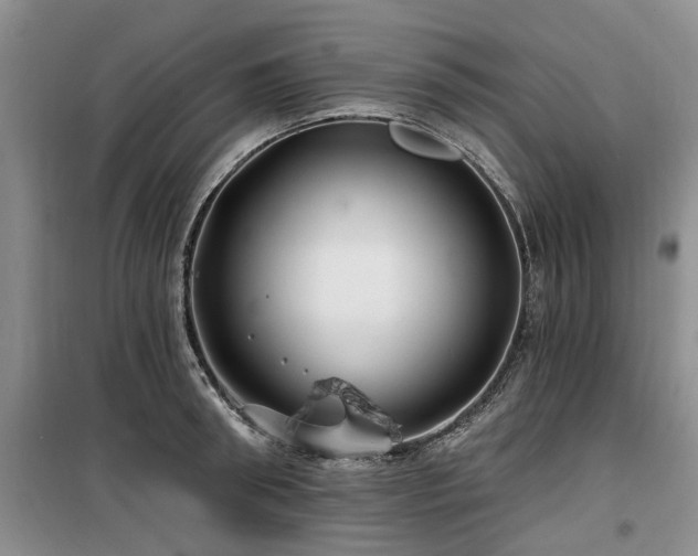 X0000100200898200805301307