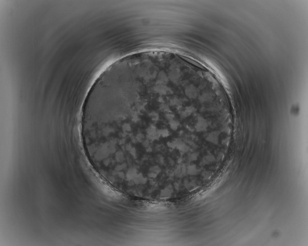 X0000100200899200805301307