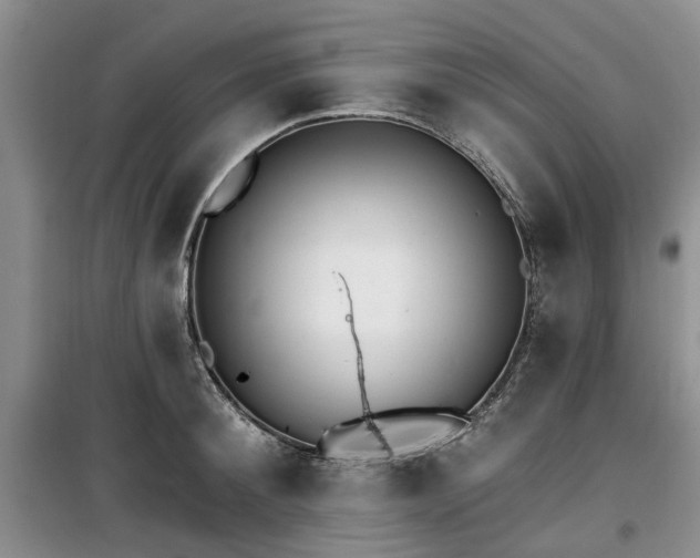 X0000100200900200805301307