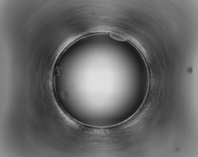 X0000100200901200805301307