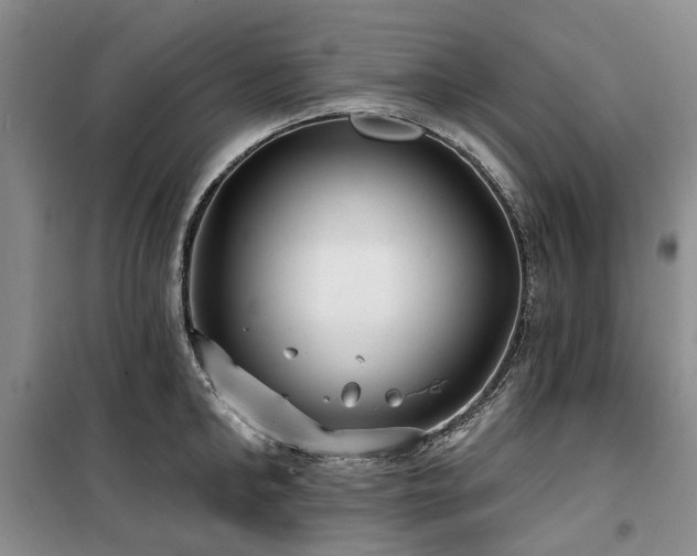 X0000100200902200805301307