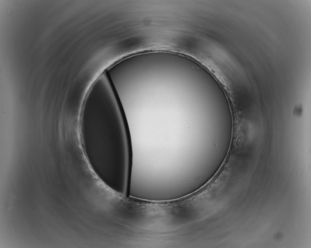 X0000100200904200805301307