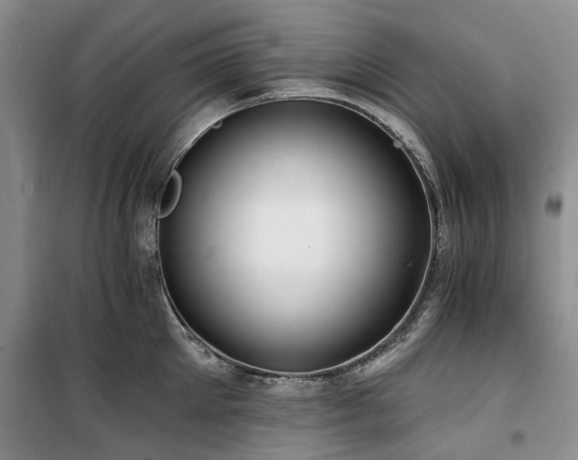 X0000100200905200805301307