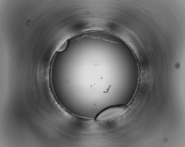 X0000100200906200805301307