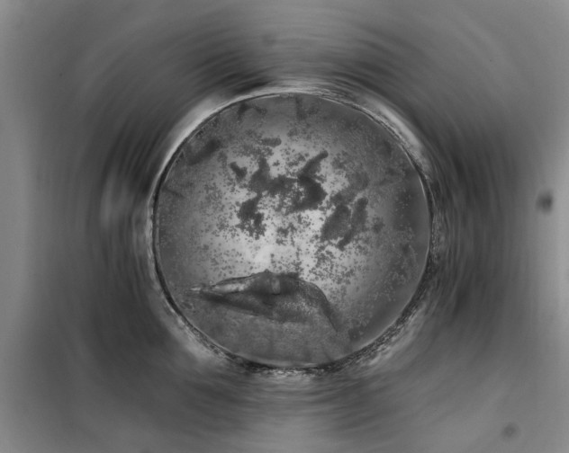 X0000100200907200805301307