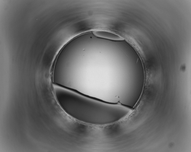 X0000100200908200805301307