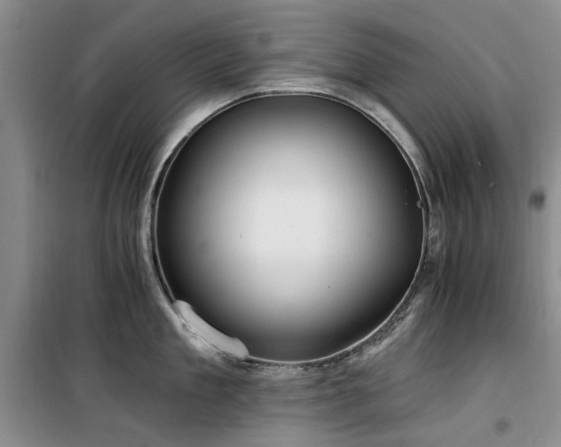 X0000100200909200805301307