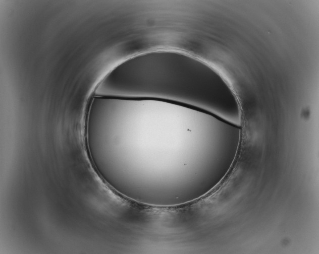 X0000100200910200805301307