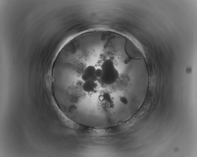 X0000100200911200805301307