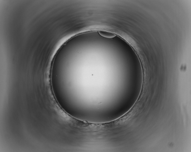 X0000100200912200805301307