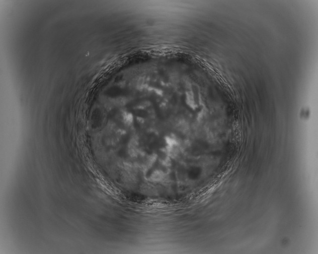 X0000100200913200805301306