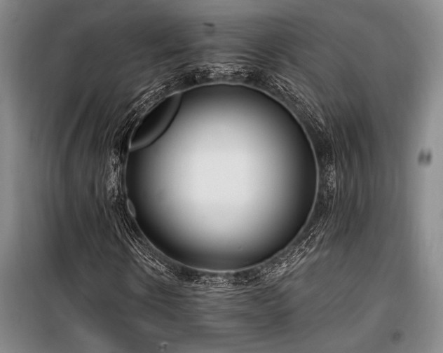 X0000100200914200805301306