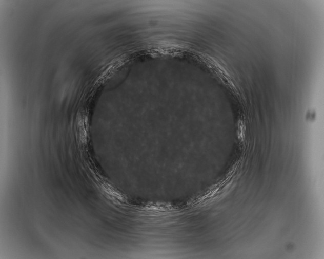 X0000100200915200805301306