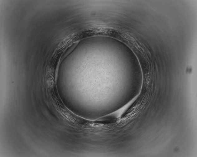 X0000100200916200805301306