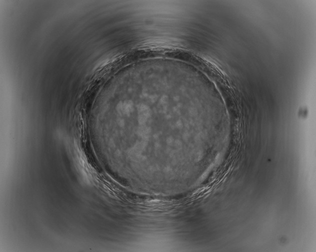 X0000100200917200805301306