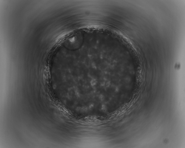 X0000100200918200805301306