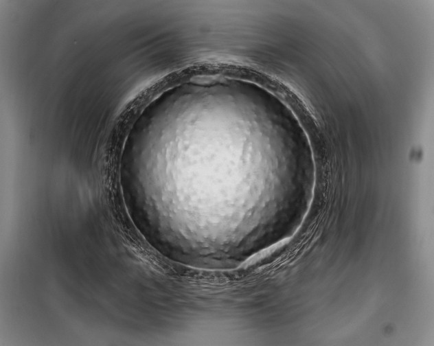 X0000100200919200805301306