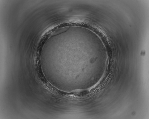 X0000100200920200805301306