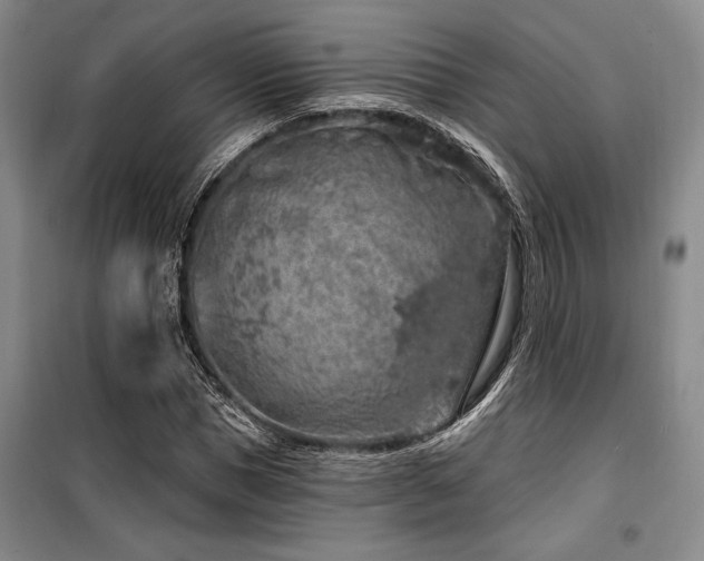 X0000100200921200805301306