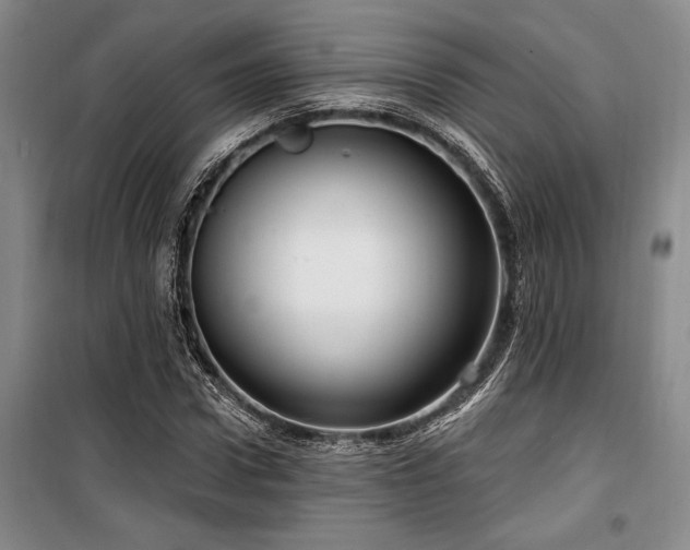 X0000100200922200805301306