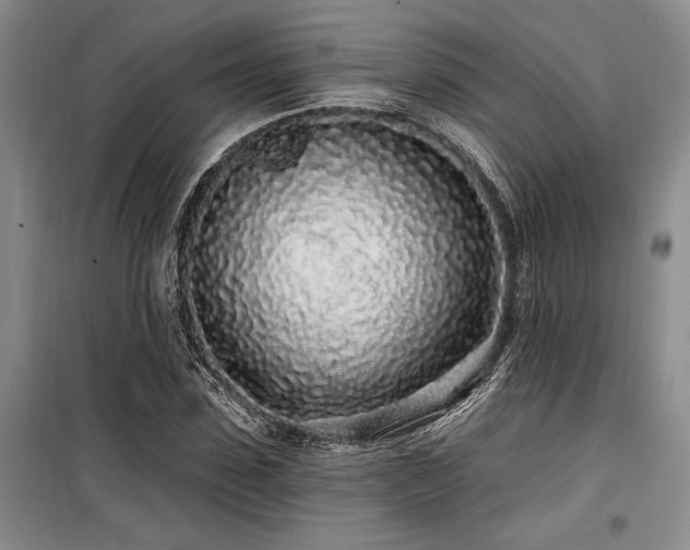 X0000100200923200805301306