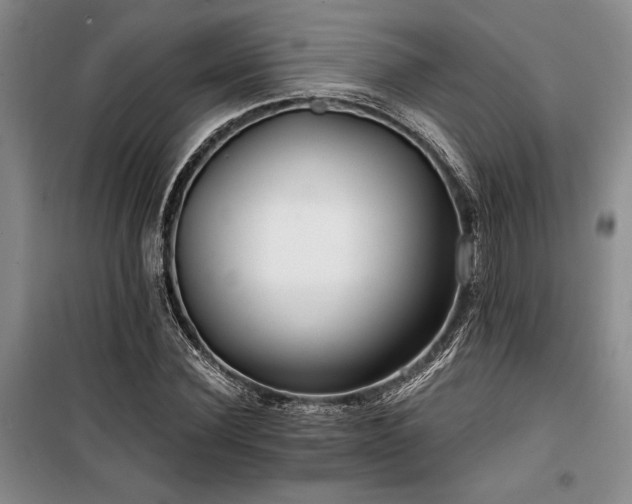 X0000100200924200805301306