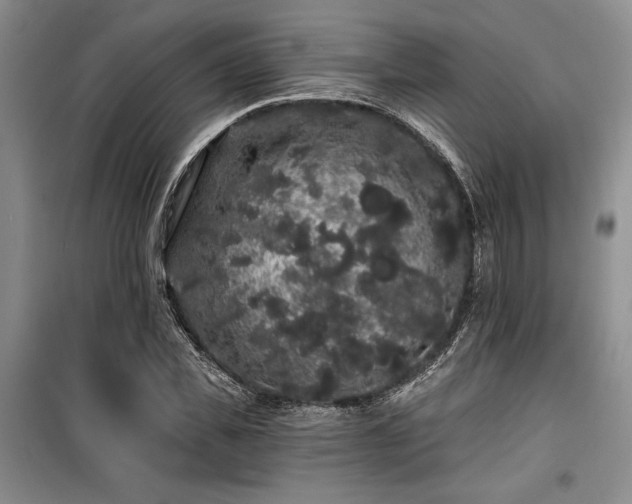 X0000100200925200805301306