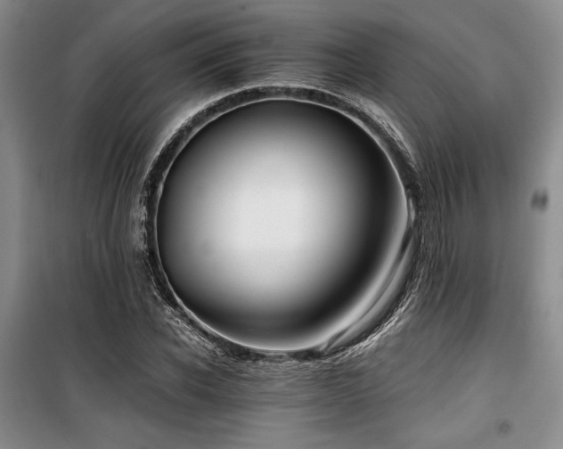 X0000100200926200805301306