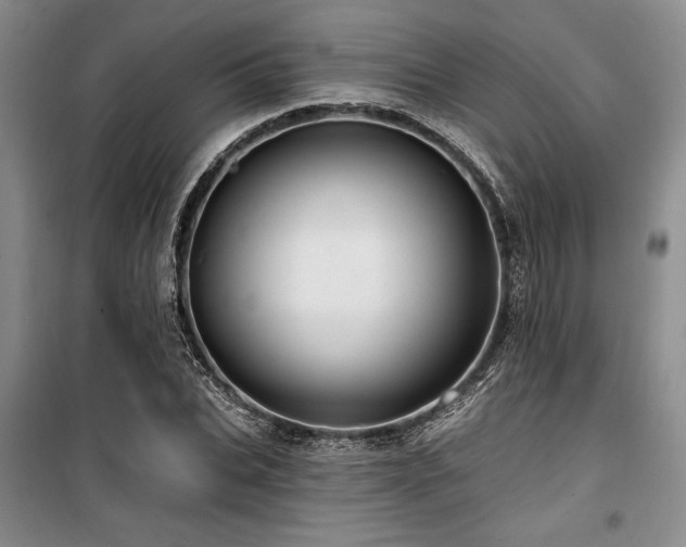 X0000100200927200805301307