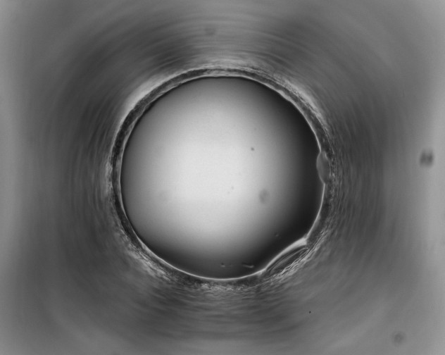 X0000100200928200805301307