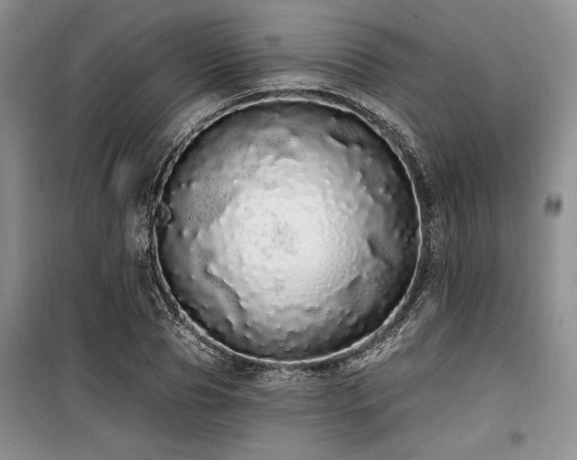 X0000100200929200805301307