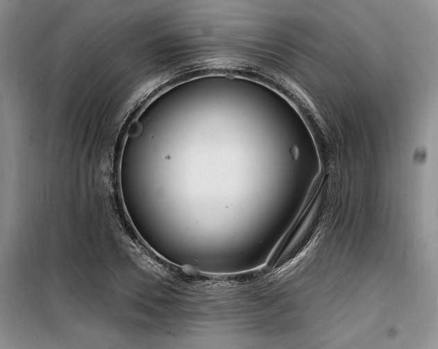 X0000100200930200805301307