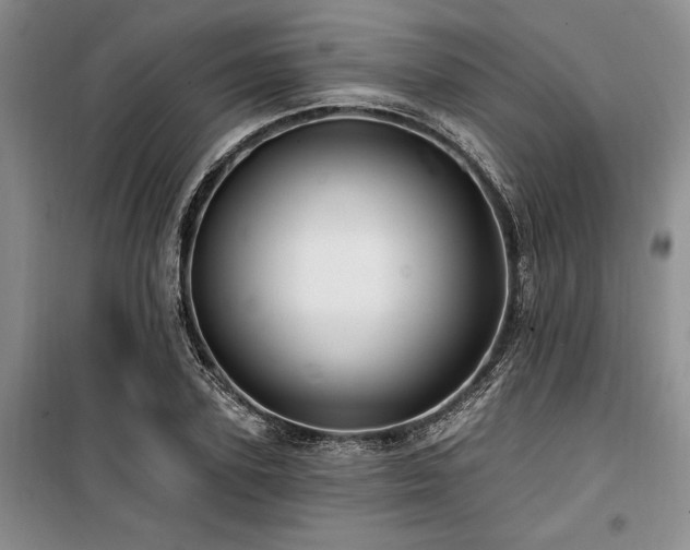 X0000100200931200805301307