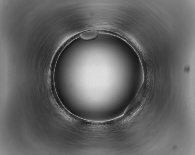 X0000100200932200805301307