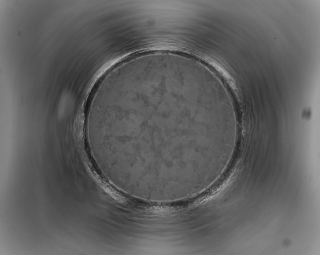 X0000100200933200805301307