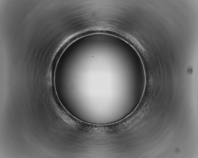 X0000100200934200805301307