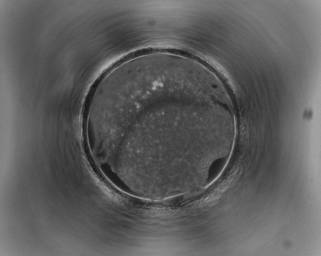 X0000100200935200805301307