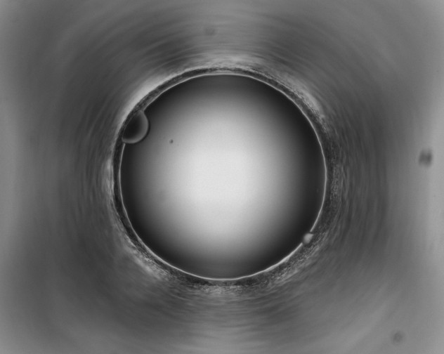 X0000100200936200805301307